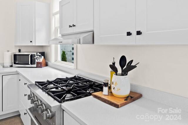 kitchen featuring white cabinetry, stainless steel appliances, and ventilation hood