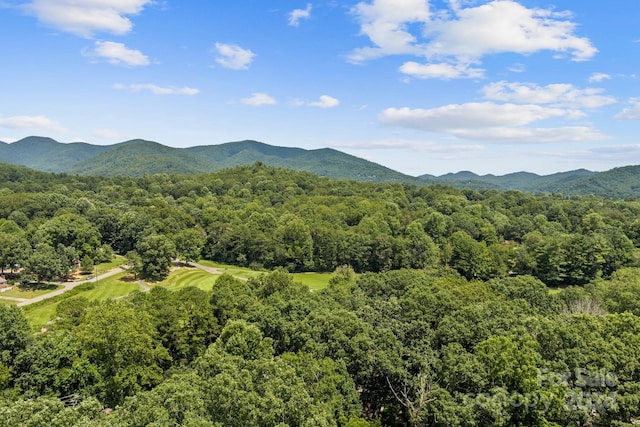 property view of mountains