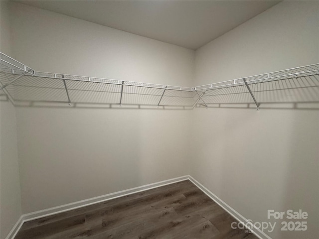 spacious closet with dark wood-type flooring