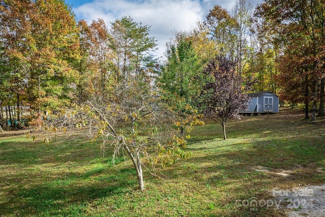 view of yard featuring a storage shed