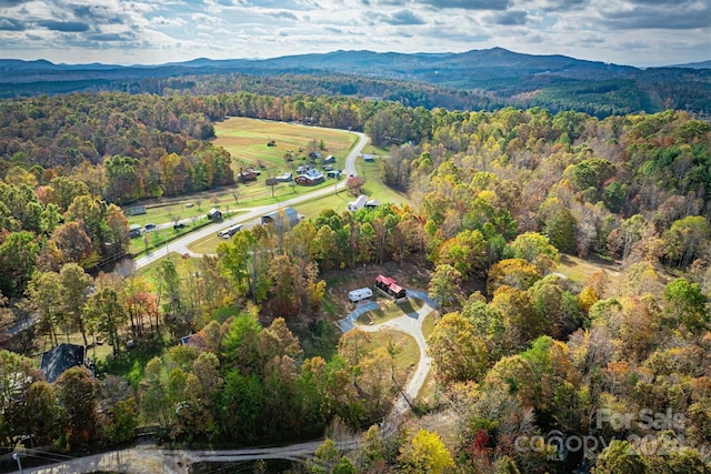 aerial view with a mountain view