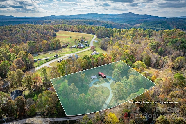 bird's eye view featuring a mountain view