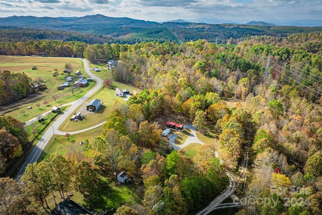 birds eye view of property featuring a mountain view