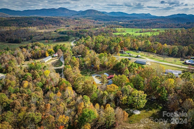 bird's eye view with a mountain view