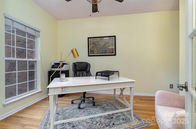 office with ceiling fan, a healthy amount of sunlight, and light wood-type flooring