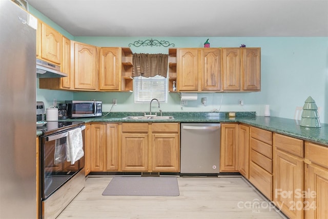 kitchen featuring light wood-type flooring, sink, and appliances with stainless steel finishes