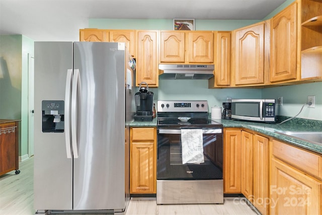 kitchen featuring stainless steel appliances and light hardwood / wood-style flooring