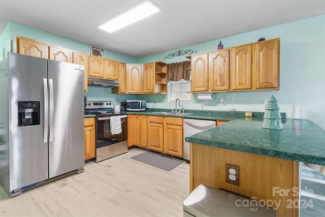 kitchen with kitchen peninsula, sink, light hardwood / wood-style floors, and appliances with stainless steel finishes