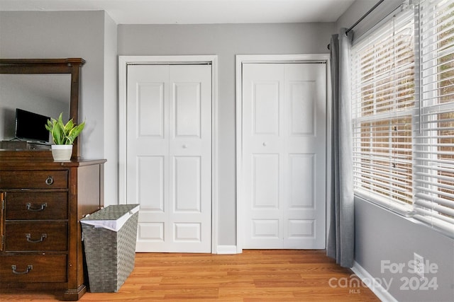 bedroom featuring light hardwood / wood-style flooring, multiple windows, and multiple closets