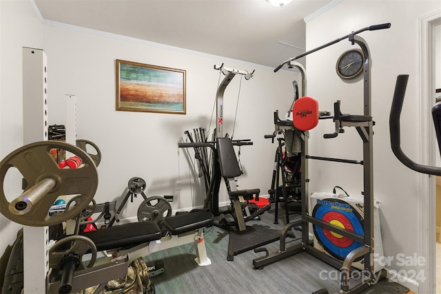 exercise area with ornamental molding