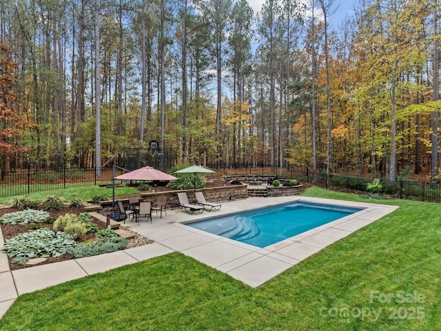 view of swimming pool with a patio and a lawn