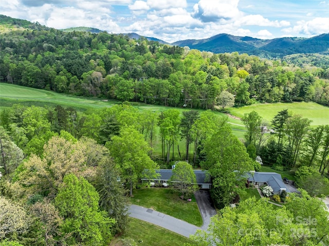 bird's eye view with a mountain view