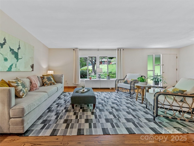 living room featuring wood-type flooring