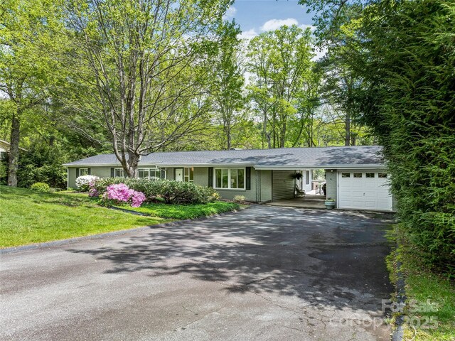29 Robinhood Rd, Asheville, NC 28804 - photo 4