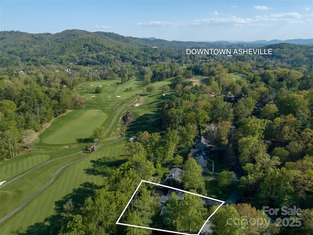 29 Robinhood Rd, Asheville, NC 28804 - photo 7