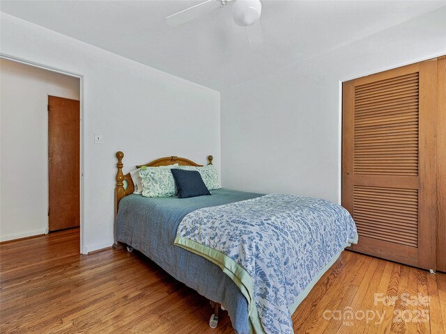 29 Robinhood Rd, Asheville, NC 28804 - photo 27