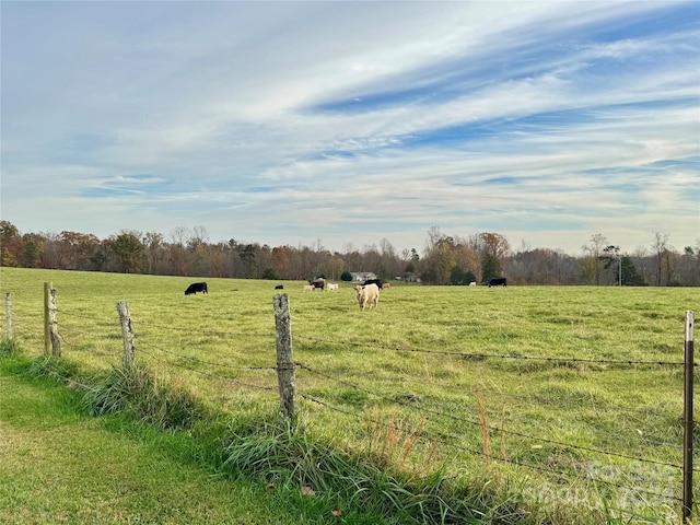 view of yard with a rural view