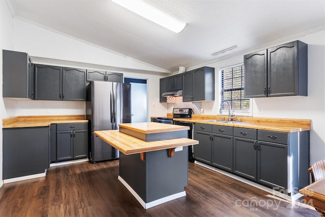 kitchen featuring dark hardwood / wood-style floors, lofted ceiling, appliances with stainless steel finishes, and wooden counters