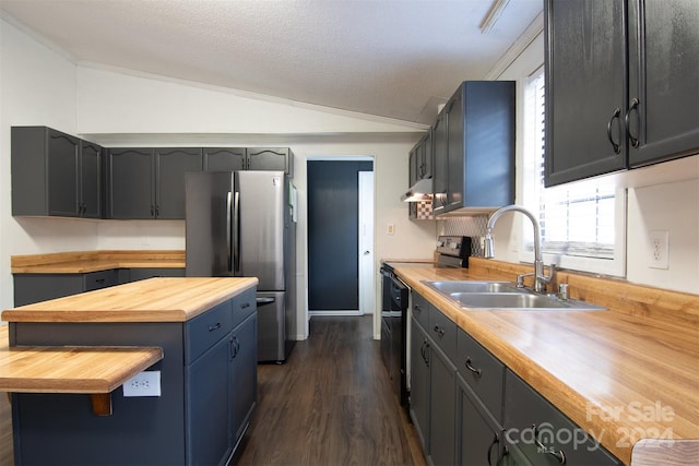 kitchen featuring sink, dark wood-type flooring, wood counters, vaulted ceiling, and appliances with stainless steel finishes