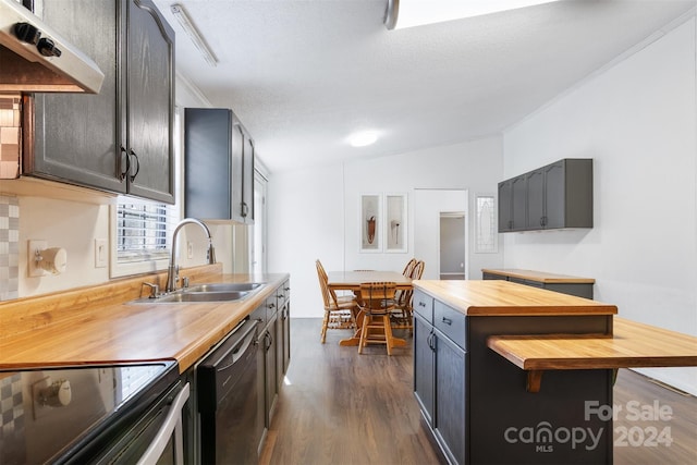 kitchen featuring sink, stainless steel appliances, wood counters, dark hardwood / wood-style floors, and vaulted ceiling