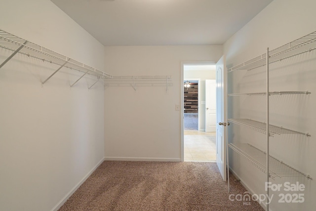 walk in closet with light carpet