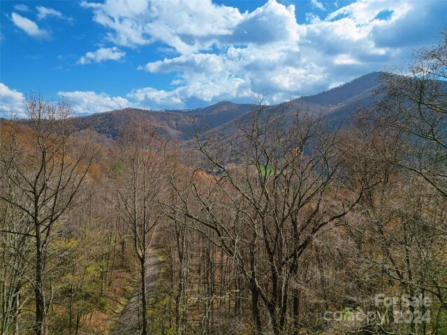 00 Scarlet Maple Ln Unit 23, Maggie Valley, NC 28751