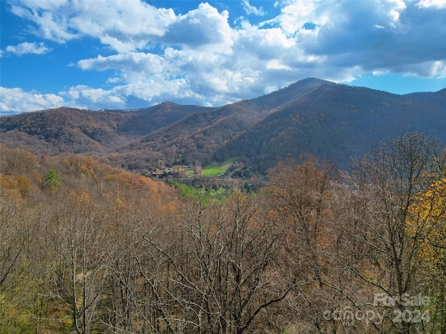 00 Scarlet Maple Ln Unit 23, Maggie Valley, NC 28751