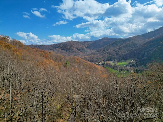 00 Scarlet Maple Ln Unit 23, Maggie Valley, NC 28751