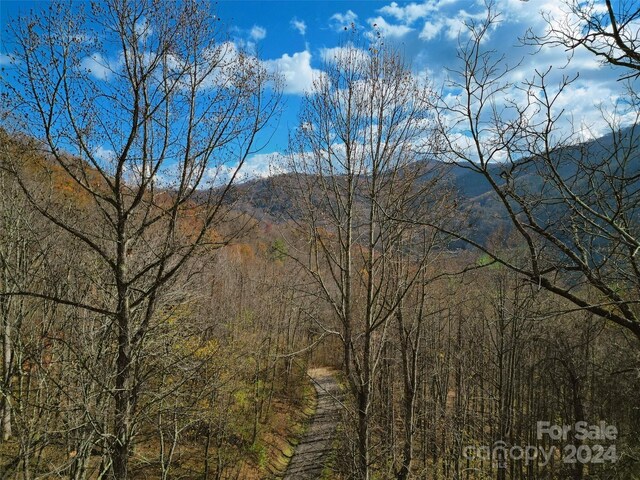 00 Scarlet Maple Ln Unit 23, Maggie Valley, NC 28751
