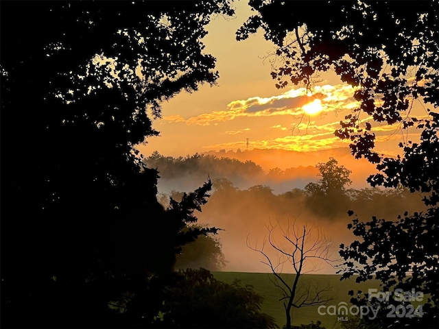 view of nature at dusk