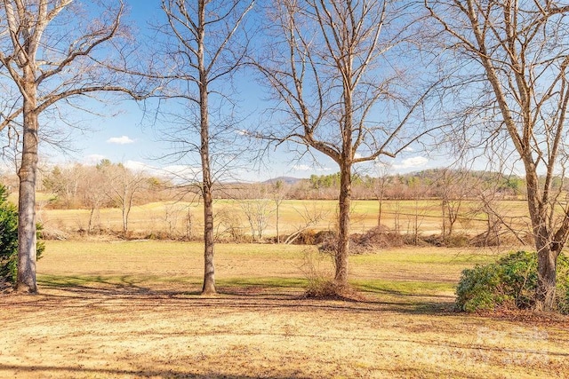 view of yard featuring a rural view