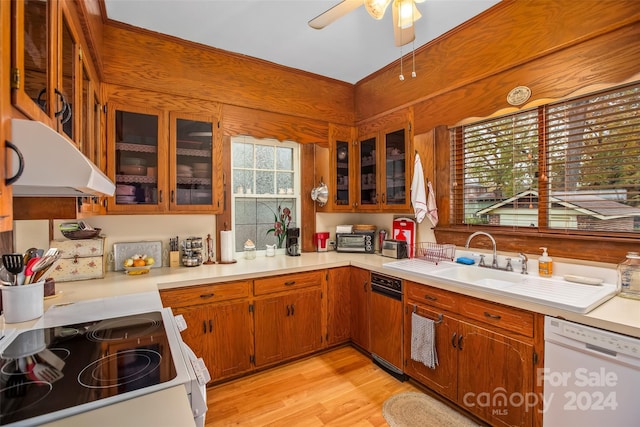 kitchen featuring ceiling fan, sink, light hardwood / wood-style floors, white appliances, and exhaust hood