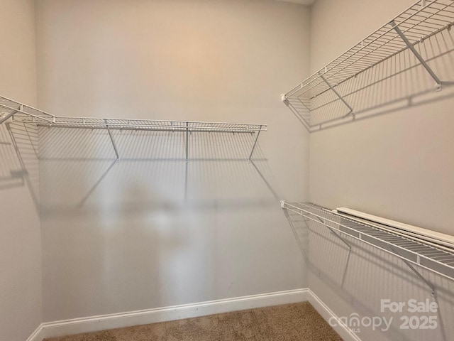 405 Northgate Blvd, Indian Trail, NC 28079 - spacious closet featuring carpet
