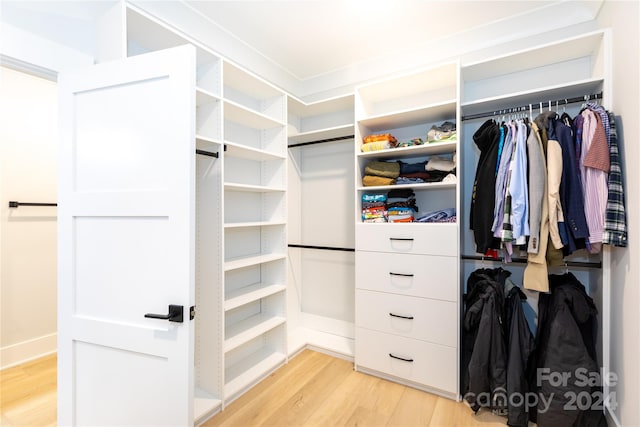 walk in closet with light hardwood / wood-style floors