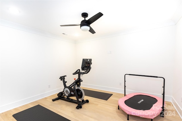 exercise area featuring ceiling fan, crown molding, and hardwood / wood-style flooring