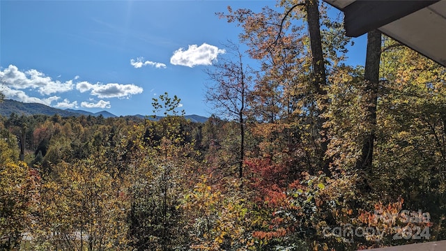 view of mountain feature