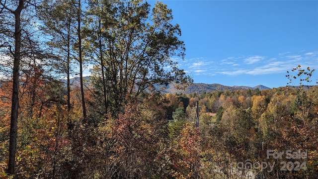 property view of mountains