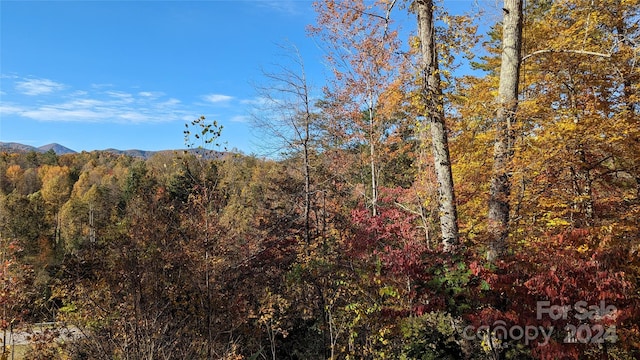 property view of mountains