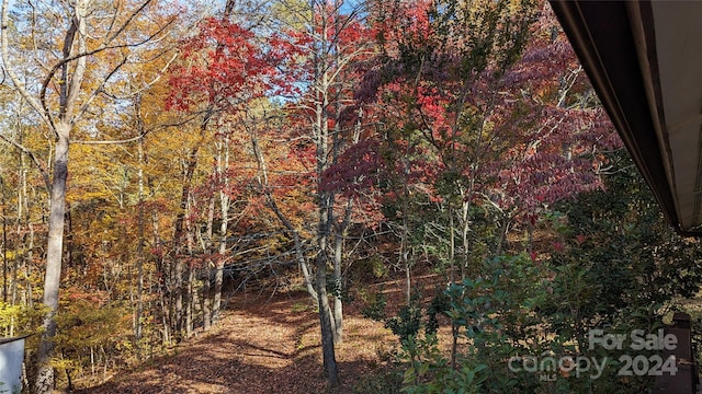 view of landscape