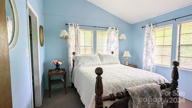 bedroom featuring carpet flooring and lofted ceiling