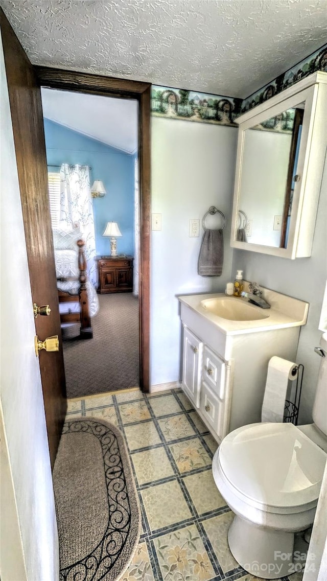 bathroom featuring a textured ceiling, vanity, and vaulted ceiling