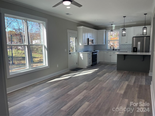 kitchen with dark hardwood / wood-style flooring, white cabinetry, plenty of natural light, and appliances with stainless steel finishes