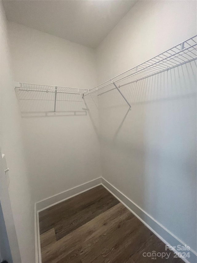 walk in closet featuring dark wood-type flooring