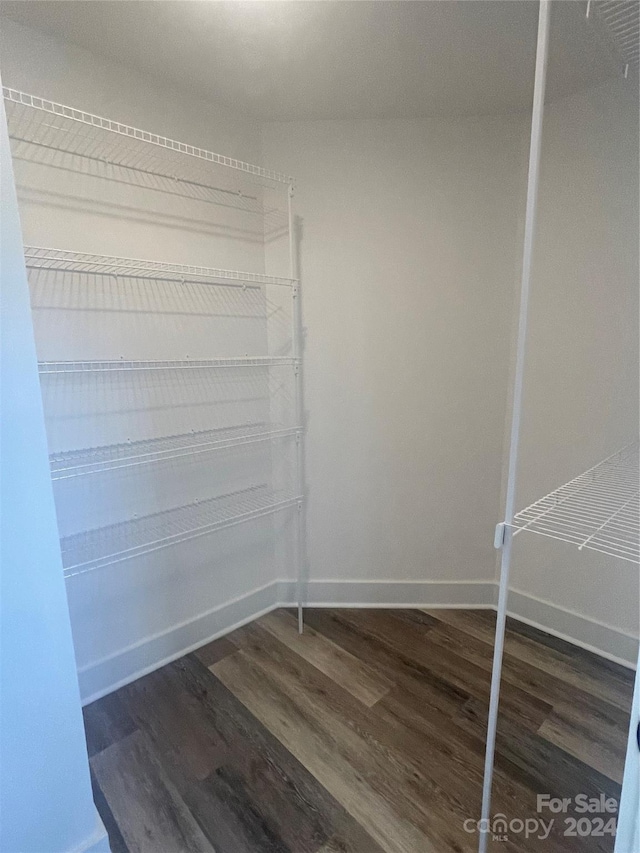 walk in closet featuring dark hardwood / wood-style floors