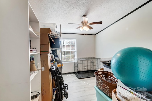 storage featuring ceiling fan