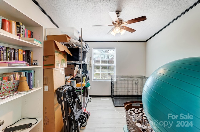 storage featuring ceiling fan