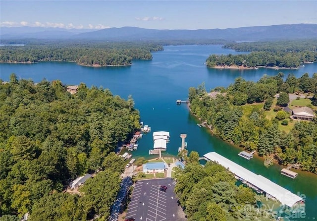 bird's eye view featuring a water and mountain view