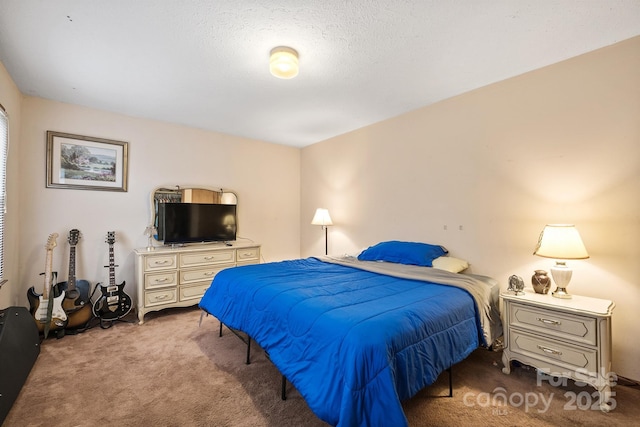 carpeted bedroom with a textured ceiling