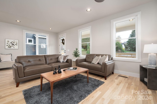 living room with light hardwood / wood-style floors and plenty of natural light