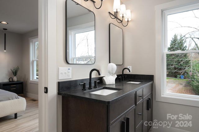 bathroom with hardwood / wood-style floors, plenty of natural light, and vanity